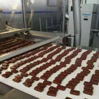 استخدام نیروی کار