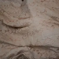 روتختی گیپور