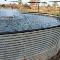 حوضچه پرورش ماهی