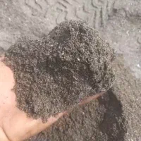 فروش ماسه بادی دریایی زردوسیاه