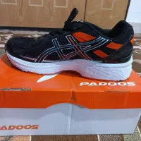 کفش کتانی پادوز