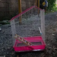 دو عدد قفس پرنده|لوازم جانبی حیوانات|رشت, پسیخان|دیوار