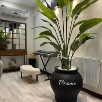 زیبایی بدون دغدغه،دیزاین بادرختچه مصنوعی