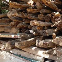 فروش چوب خشک