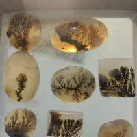 نگین سه پوست و باباقوری منظم اوپال و شجر و ...|جواهرات|قم, زنبیل آباد|دیوار