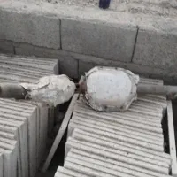 سلام کاتالیزور و خاک با بهترین قیمت خریدارم|خدمات موتور و ماشین|لار, |دیوار