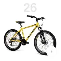 دوچرخه روکستر