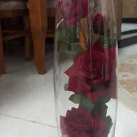 دوتا گل مصنوعی و یه تنگ کادویی خرسی