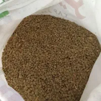 هشت کیلو نیم عدس تازه