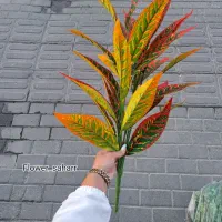 گلمصنوعی دیفن باخیا|گل مصنوعی|تبریز, |دیوار