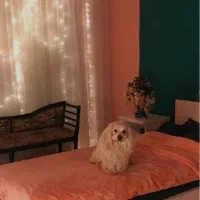 پانسیون خانگی|خدمات پیشه و مهارت|قم, دورشهر|دیوار