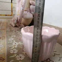 گلدان سفالی|گل و گیاه طبیعی|جیرفت, |دیوار