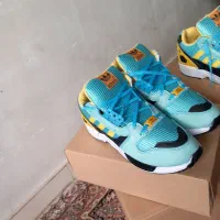 کتانی زدایکس|کیف، کفش، کمربند|شهریار, شهریار|دیوار