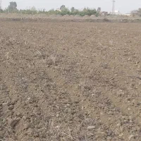 فروش-1هکتار-زمین-کشاورزی