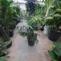 استخدام فروشنده خانم