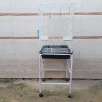 قفس بزرگ پرنده همراه پایه|لوازم جانبی حیوانات|فومن, |دیوار