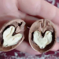 حتی‌دیوار‌هم‌ب‌این‌قیمت‌نداره