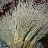 جارو دستی سیستانی عمده ۱۱۰تومن تک ۱۳۰