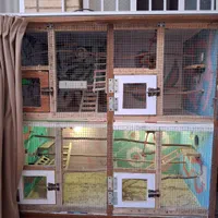 قفس مخصوص طوطی