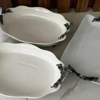 ظروف پذیرایی