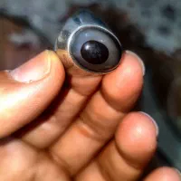 انگشتر خاص سلیمانی