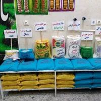 بورس انواع برنج اصیل ایرانی بشرط پخت|خوردنی و آشامیدنی|کرمانشاه, |دیوار