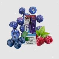 پاد یکبار مصرف ivg (دخانیات تقوی)