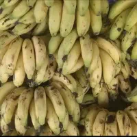 لیمو تازه، سیز تازه، موز|خوردنی و آشامیدنی|زابل, |دیوار