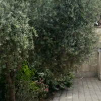 خانه-200متر-دربست-میدان-چوب-بری-خ-سمیه