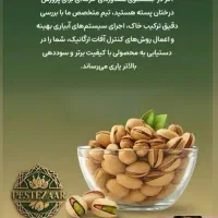مشکل پوکی پسته داری تماس بگیر