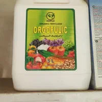 بــرداشــت زعــفــران خوب با ما تجربه کن