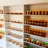 فروش انواع عسل مودار و بدون موم ارگانیک