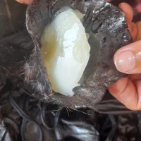 روغن گوسفندی منی ۱۱