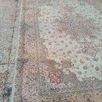 قالی فرش|فرش|شوشتر, |دیوار