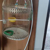 قفس گرد