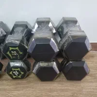 دمبل نو و هالتر