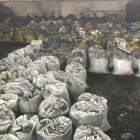 کربن پسته|عمدهفروشی|دلیجان, |دیوار