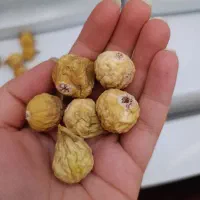 انجیر استهبان تازه با کیفیت|خوردنی و آشامیدنی|شیراز, شهرک رضوان|دیوار