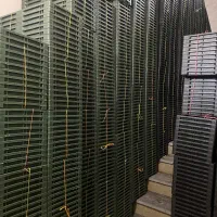 تولیدی سینی نشا شلمان