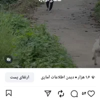 پیج اینستاگرام|لوازم جانبی موبایل و تبلت|اردبیل, |دیوار