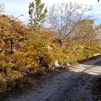 فروش باغچه تفریحی لوکیشن استثنایی|فروش زمین و ملک کلنگی|سیسخت, |دیوار