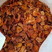 برگه زردآلو