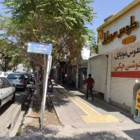 منشی دستیار خانم مسلط به فن بیان دقیق و کاری