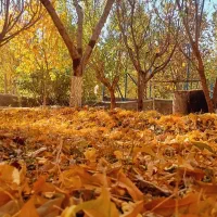 سمند دوگانه سوز کارخانه