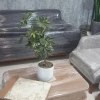 مبلمان ۷ نفره طوسی  آکبند قیمت واقعی|مبلمان خانگی و میز عسلی|تهران, شهر‌زیبا|دیوار