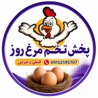 پخش تخم‌مرغ ساده و زرده طلایی /فروش اقساطی