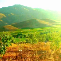 باغ 700 متری اسدآباد