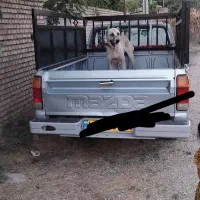 سگ نر الابای سرا