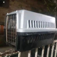 باکس سگ وگربه