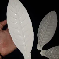 ظروف پذیرایی